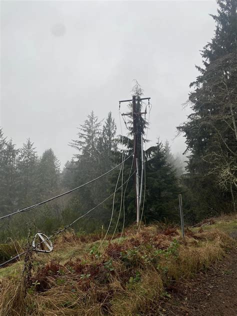 Tillamook pud power outages today - A March 28-29 windstorm did little serious damage in Tillamook County, although it did cause sporadic power outages throughout the area.